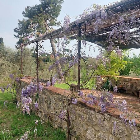 Casa Ezio Marchi Bed & Breakfast Bettolle Luaran gambar