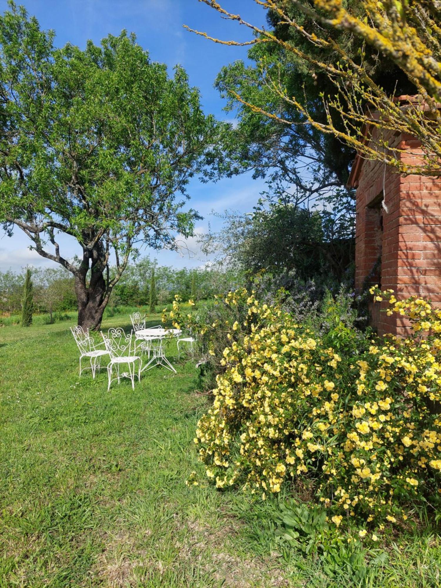 Casa Ezio Marchi Bed & Breakfast Bettolle Luaran gambar