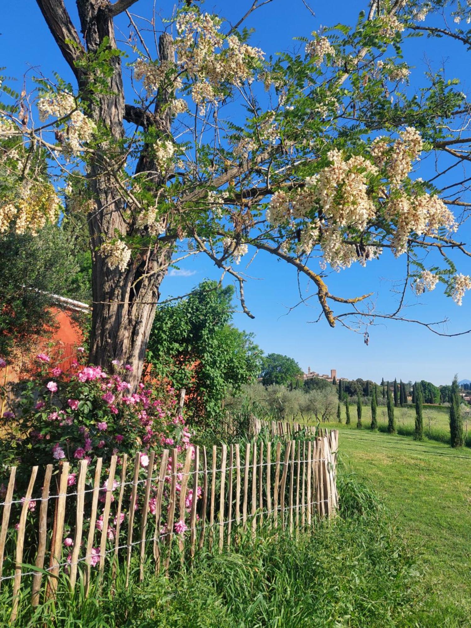 Casa Ezio Marchi Bed & Breakfast Bettolle Luaran gambar